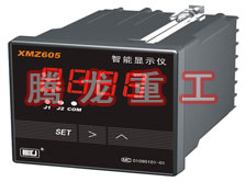 溫度表、數(shù)字顯示儀、濕度表