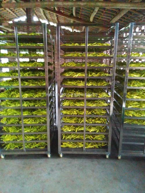 黃花菜烘干機(jī)、黃花菜烘干設(shè)備、黃花菜干燥機(jī)、黃花菜干燥設(shè)備、